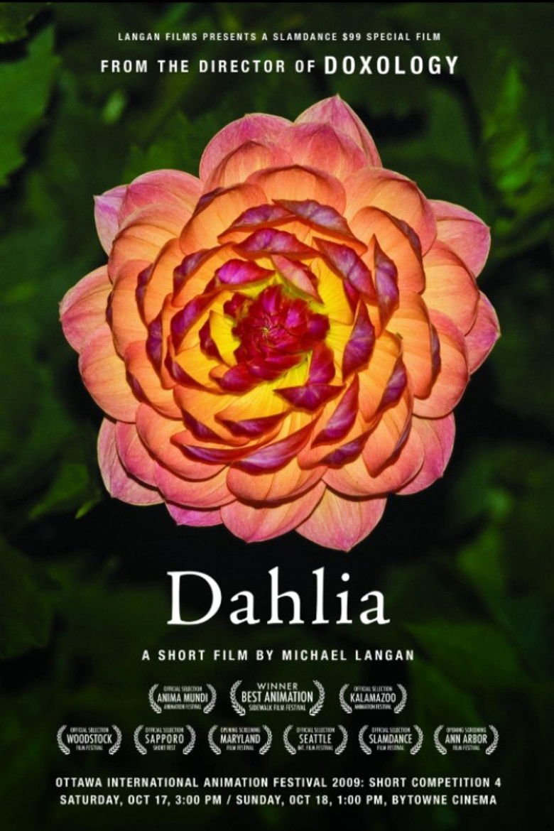 Dahlia