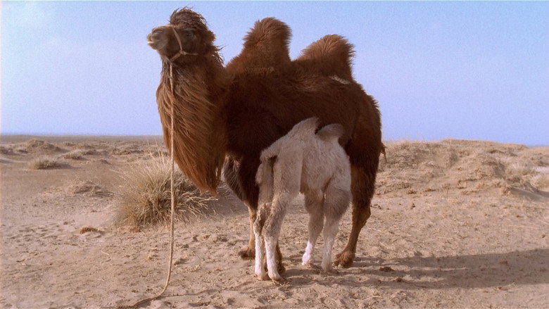 The Story of the Weeping Camel backdrop 6