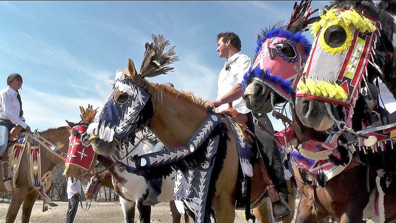 We Are a Horse Nation線上电影看完整版