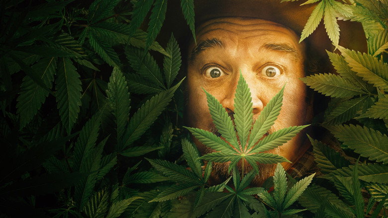Growing Belushi backdrop 7