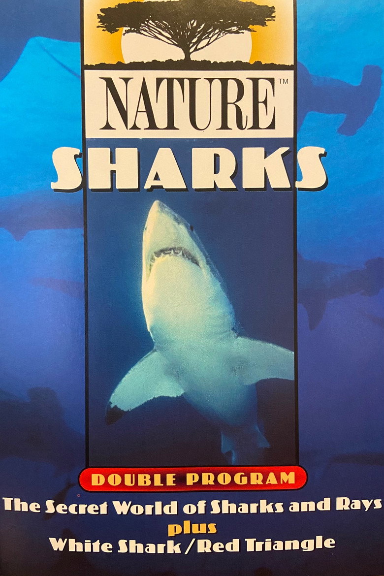 White Shark/Red Triangle