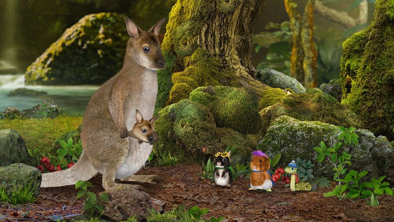 Help the Wallabies! / Help the Slimy Slug!