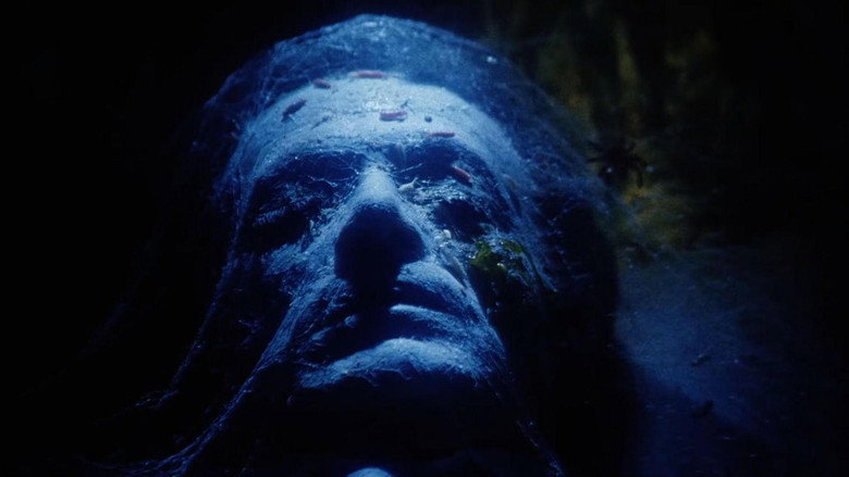 Voices from Beyond backdrop 9