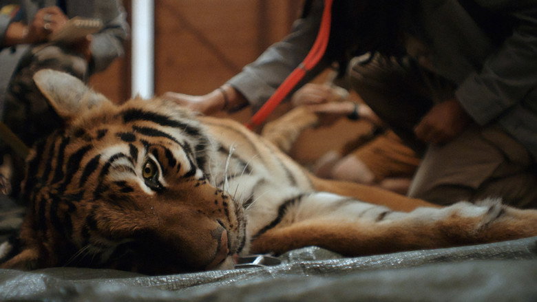 Day of the Tiger backdrop 2