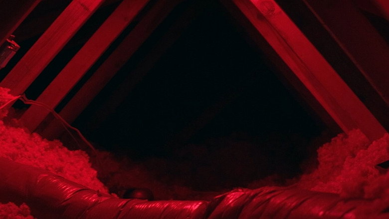 Hidden Above 2: The Mystery Unfolds backdrop 3