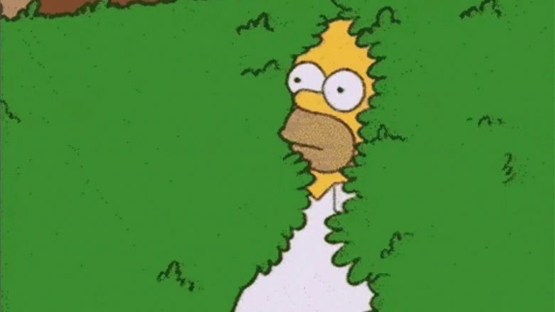 GIF: Feelings on a Loop