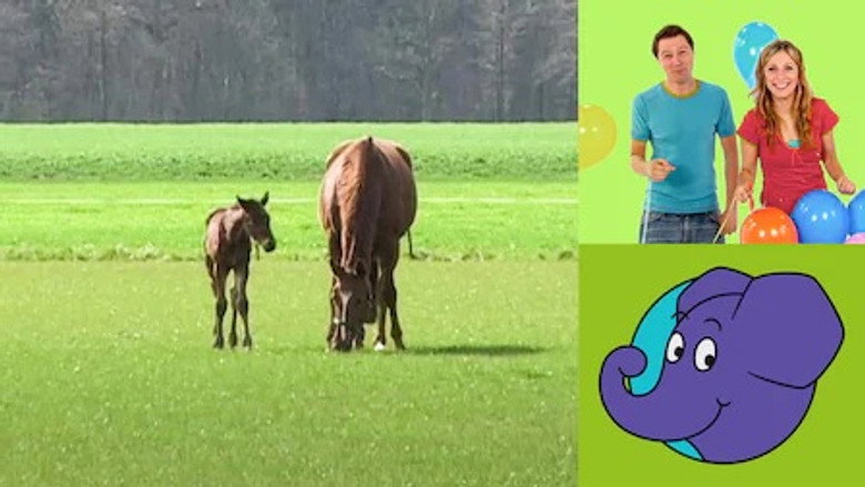 /f4obacFJi8eNZR1PvdutcnUOsmv.jpg