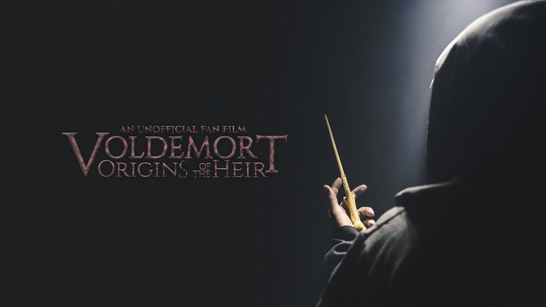 Voldemort: Origins of the Heir backdrop 6