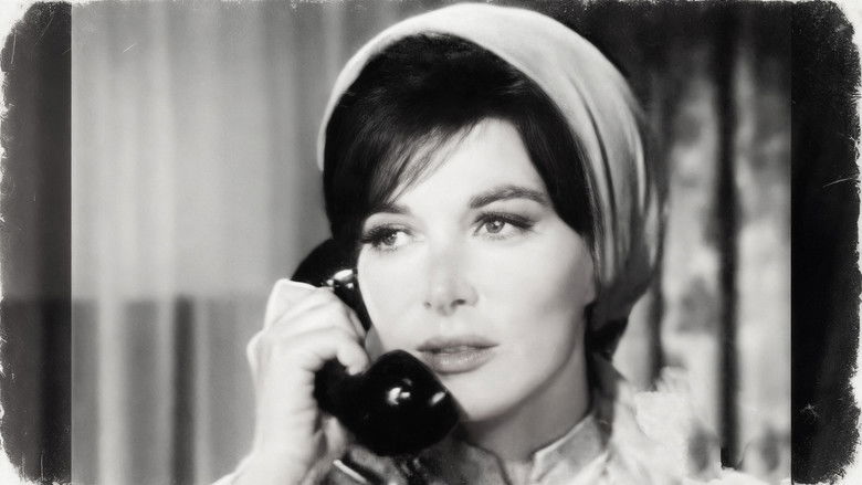 Episode #2.51 (pp-165)