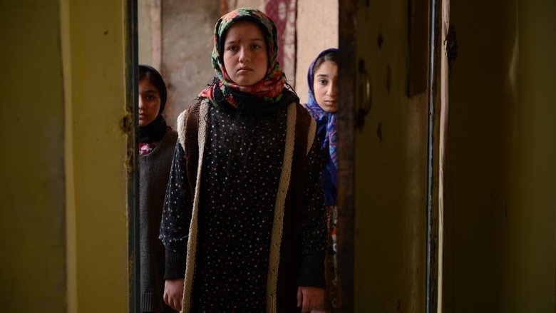 Hossein Abolsedgh