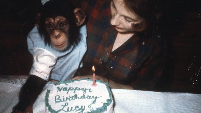 Lucy the Human Chimp backdrop 3