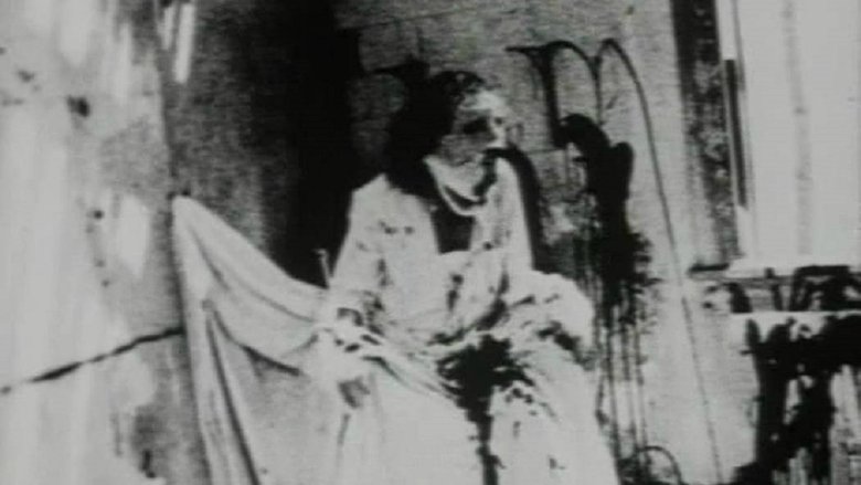 The Begotten Cycle