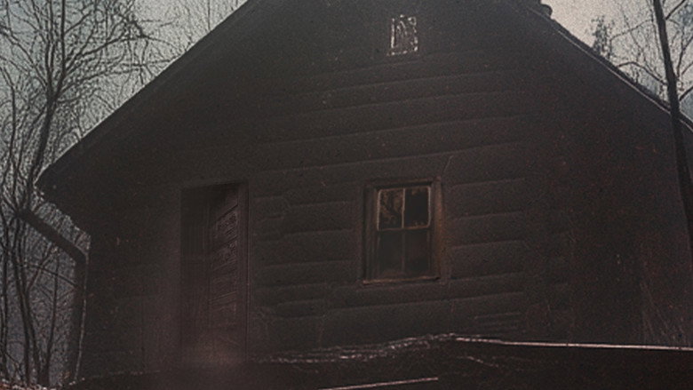 Cabin in the Woods backdrop 3