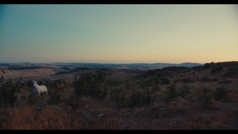 The Substance of Days backdrop 4