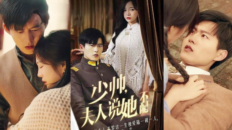 少帅,夫人说她不配