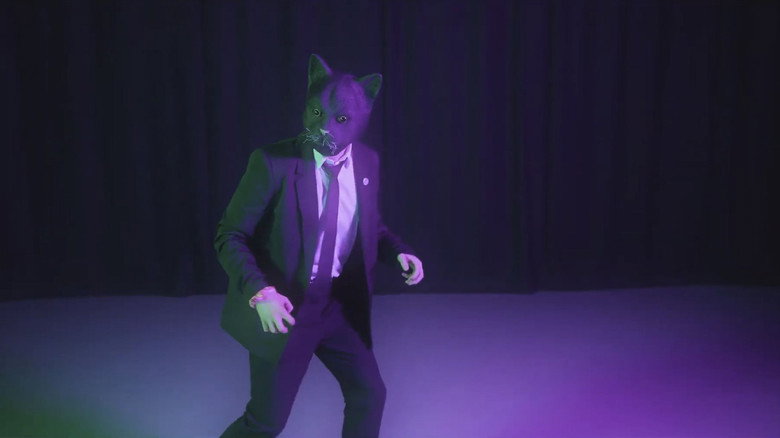 Cat Face backdrop 5