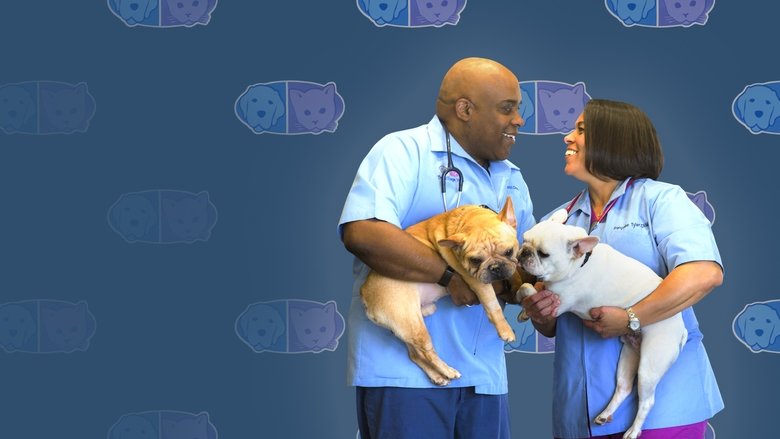 Love & Vets