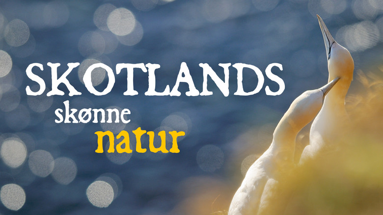 Scotland: The New Wild backdrop 3