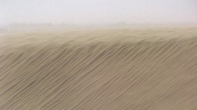 Evil spirits of the desert