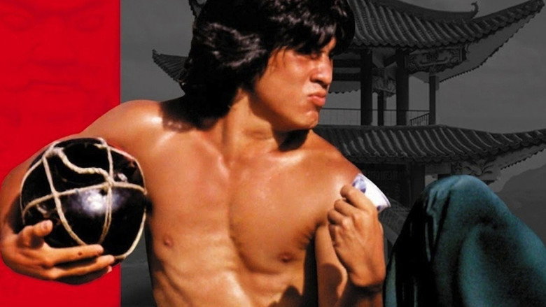 The World of Drunken Master backdrop 3