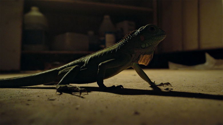 Chapter Three: A Dead End