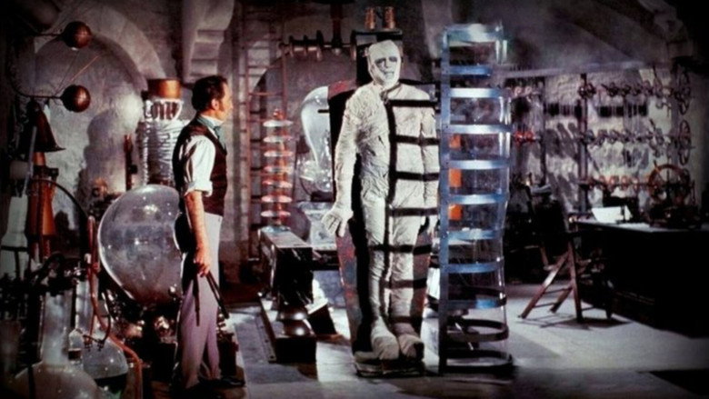 The Evil of Frankenstein backdrop 9