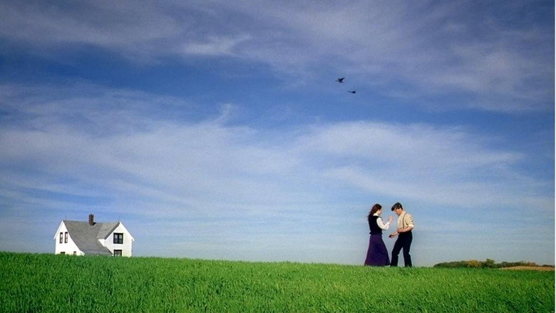 Sweet Land backdrop 2