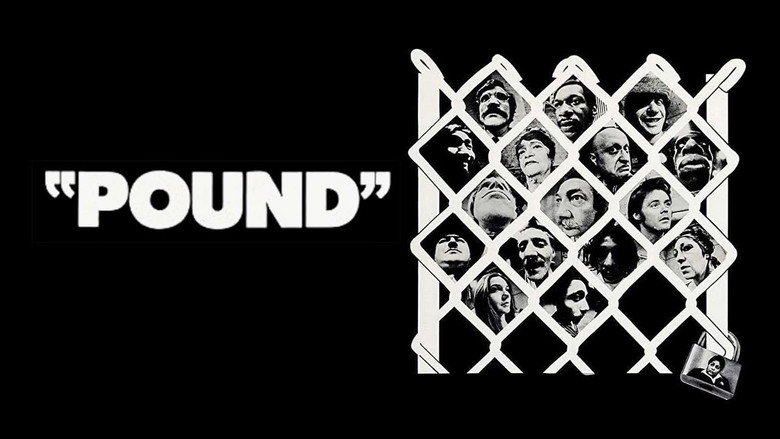 Pound backdrop 2