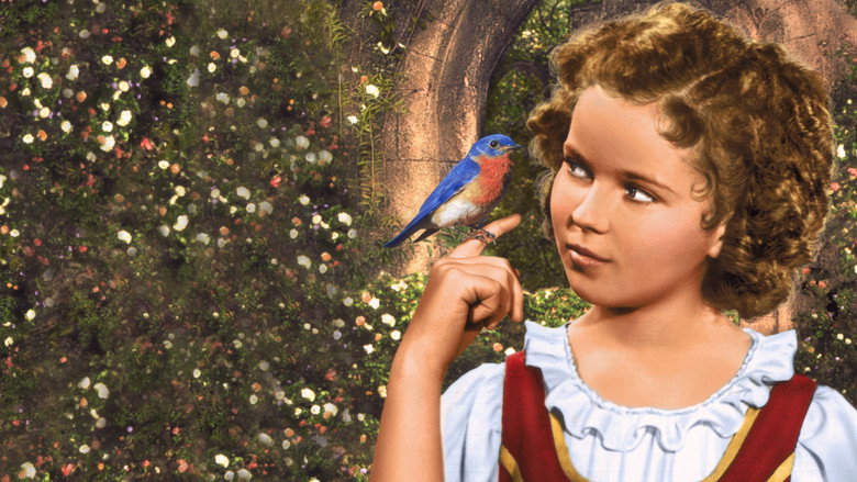 The Blue Bird backdrop 6