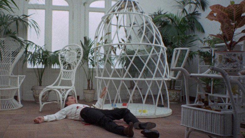 Who Saw Her Die? backdrop 9