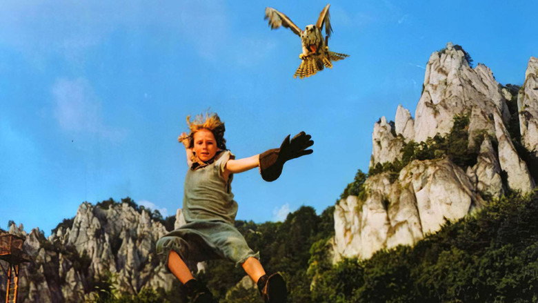 Tomáš and the Falcon King backdrop 7