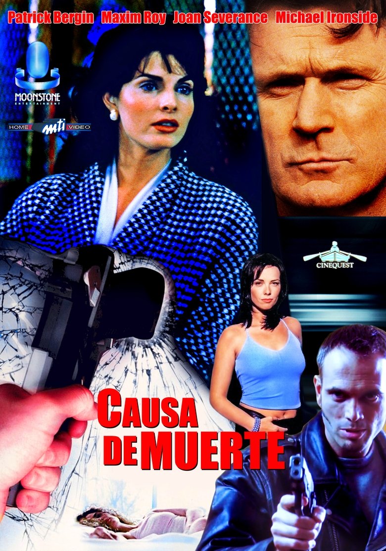 Causa mayor