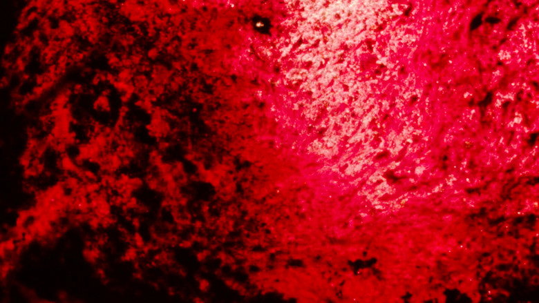 Landfill 16 backdrop 2