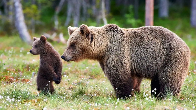 Dangerous and Deadly - Episode 2