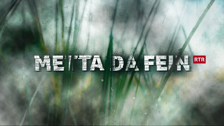 Metta da fein backdrop 3