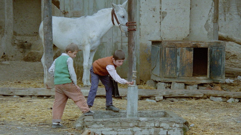 Where Is The Friend's House? backdrop 9