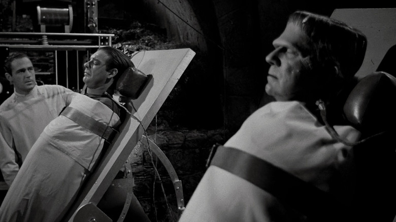 Frankenstein Meets the Wolf Man backdrop 7