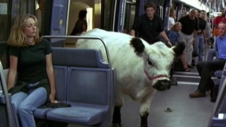 The Cow and the President backdrop 1