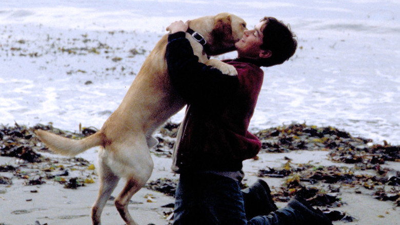 Far from Home: The Adventures of Yellow Dog backdrop 4