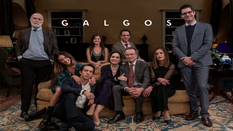 Galgos backdrop 4