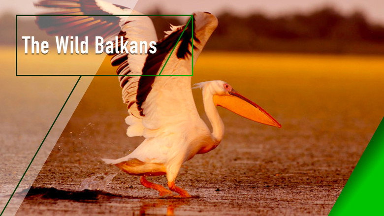 Wild Balkans backdrop 2