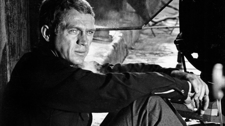 I Am Steve McQueen backdrop 7
