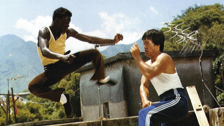 Soul Brothers of Kung Fu backdrop 3