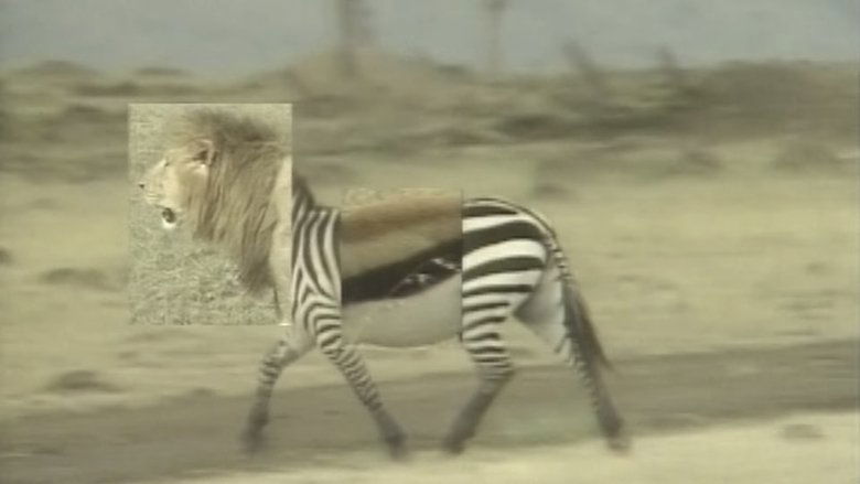 African Animal Puzzle