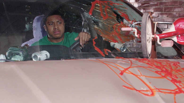 License & Registration?