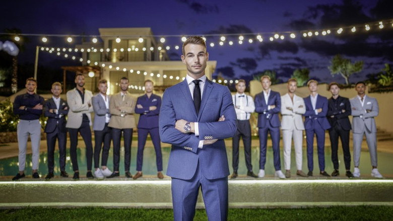 Prince Charming backdrop 7