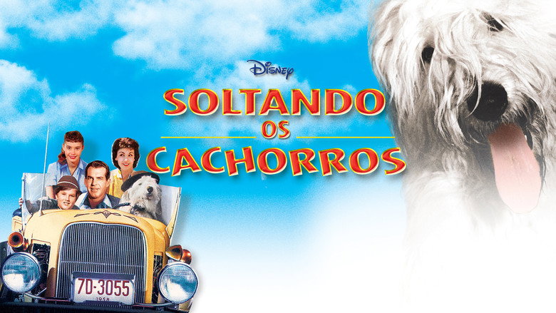 The Shaggy Dog backdrop 7