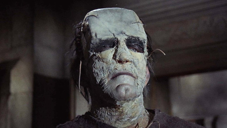 The Evil of Frankenstein backdrop 5