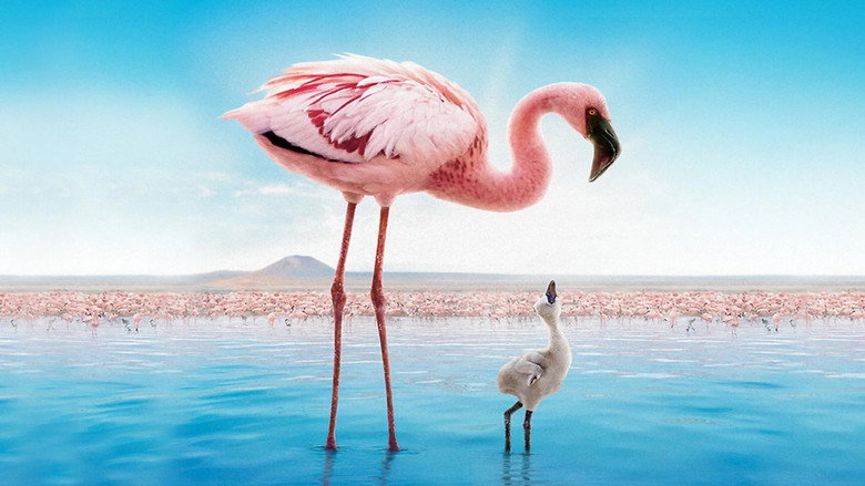 The Crimson Wing: Mystery of the Flamingos backdrop 5