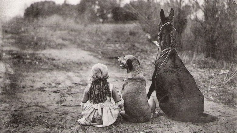 Adele Crinley